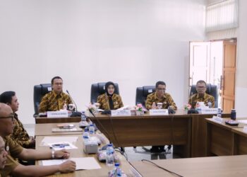 Pemkab Ciamis Dorong Posyandu Naik Kelas Lewat Implementasi 6 Bidang SPM